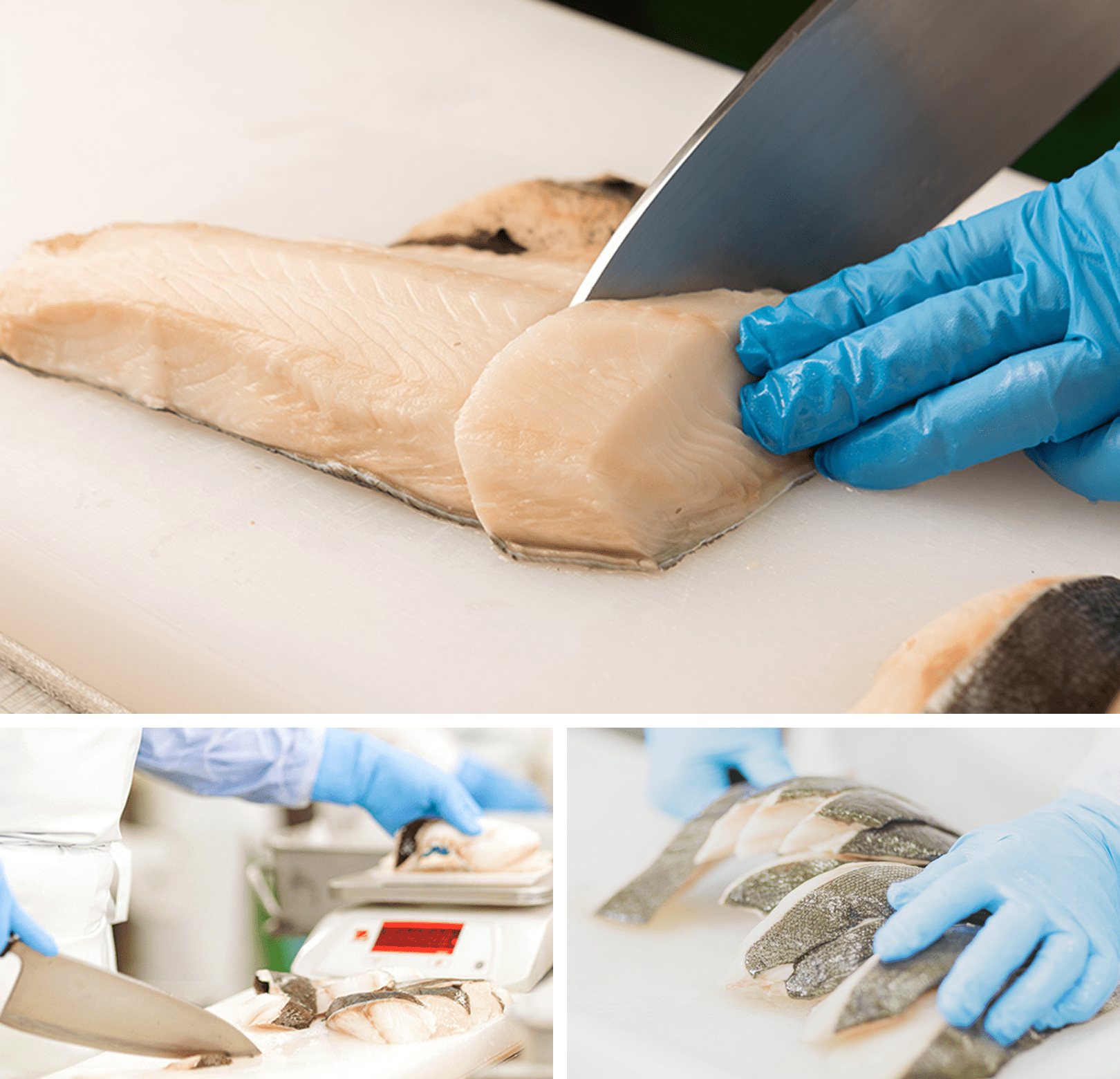 魚を切るイメージ画像