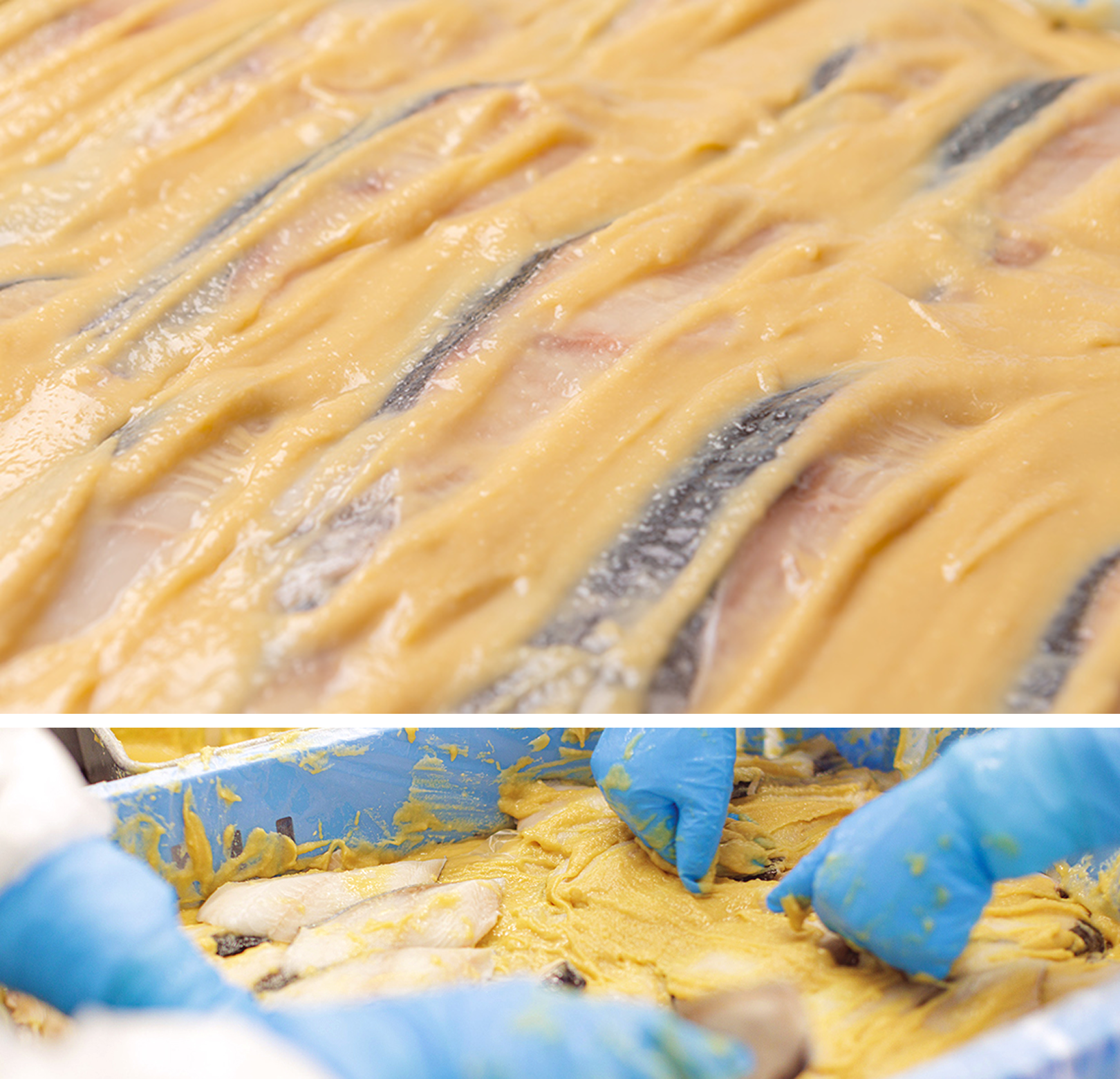 魚を漬けるイメージ画像